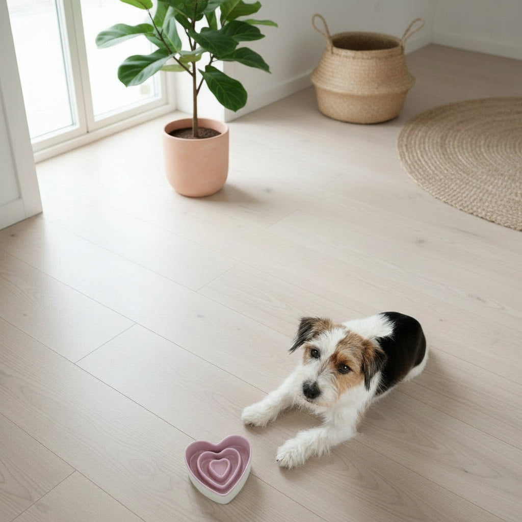 Ceramic Heart Slow Feeder Bowl
