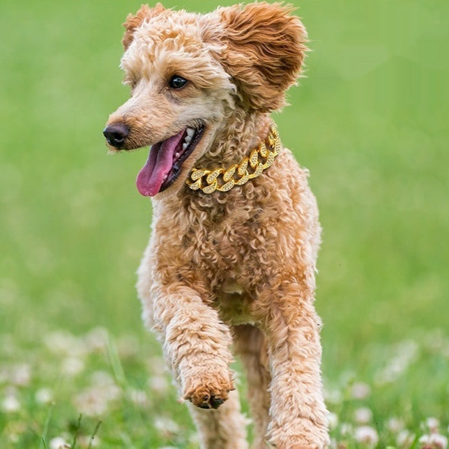 Cuban Chain Pet Collar — Luxe Metal Diamond Finish