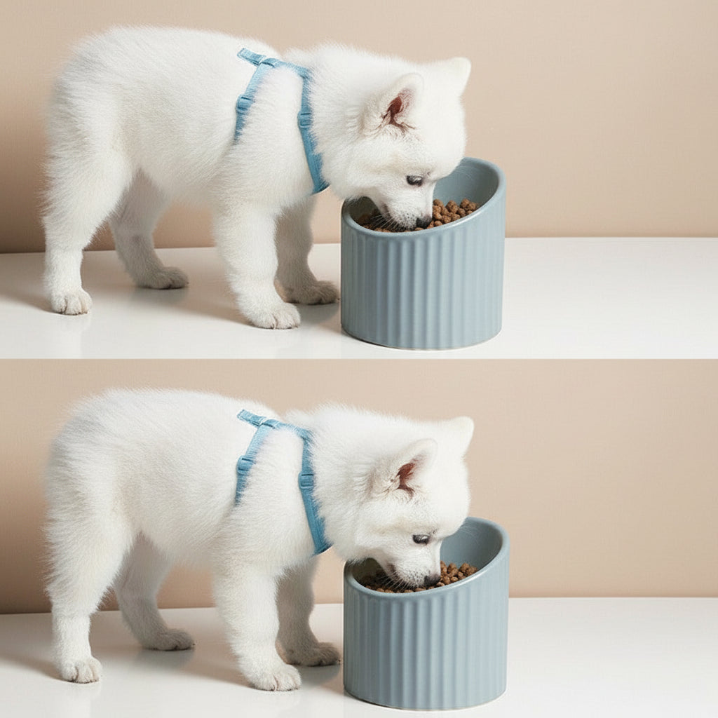 Roman Ceramic Pet Bowl