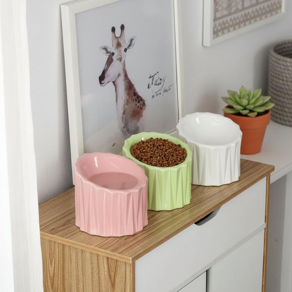 Ceramic bowl for pet neck guard