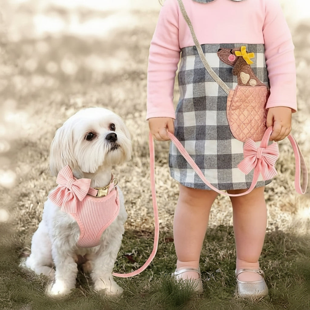 Soft Corduroy Bow Harness & Leash Set
