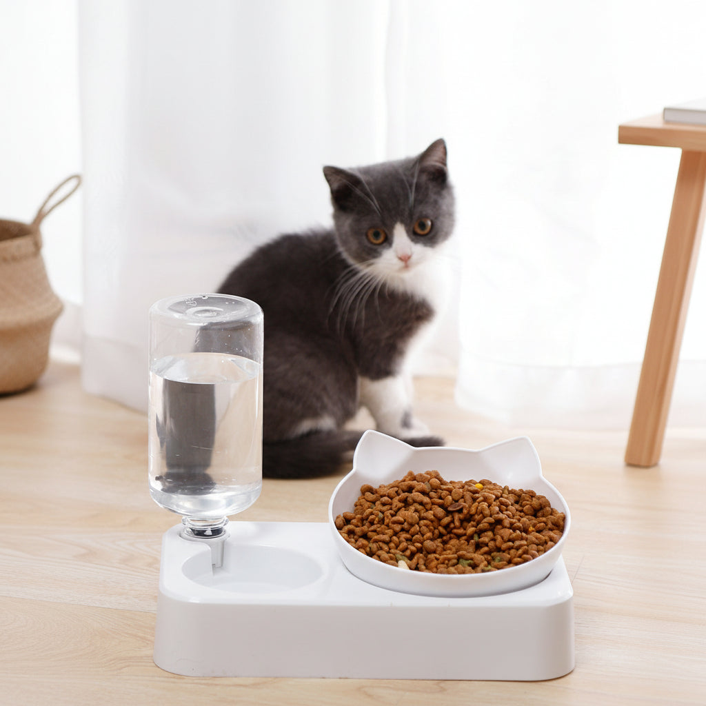 Double Bowl Automatic Drinking Bowl