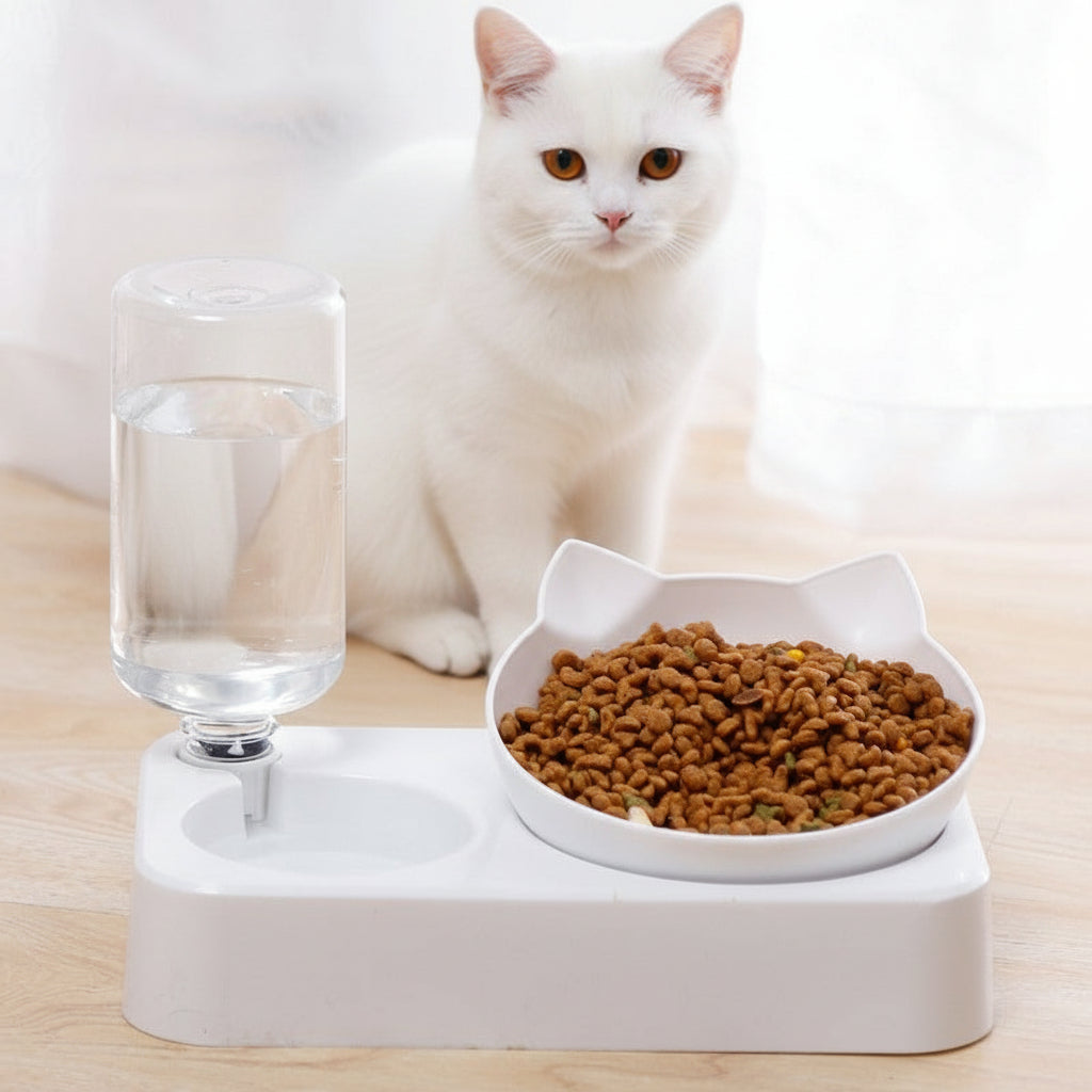 Double Bowl Automatic Drinking Bowl