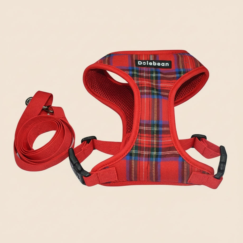 Breathable Everyday Dog Harness