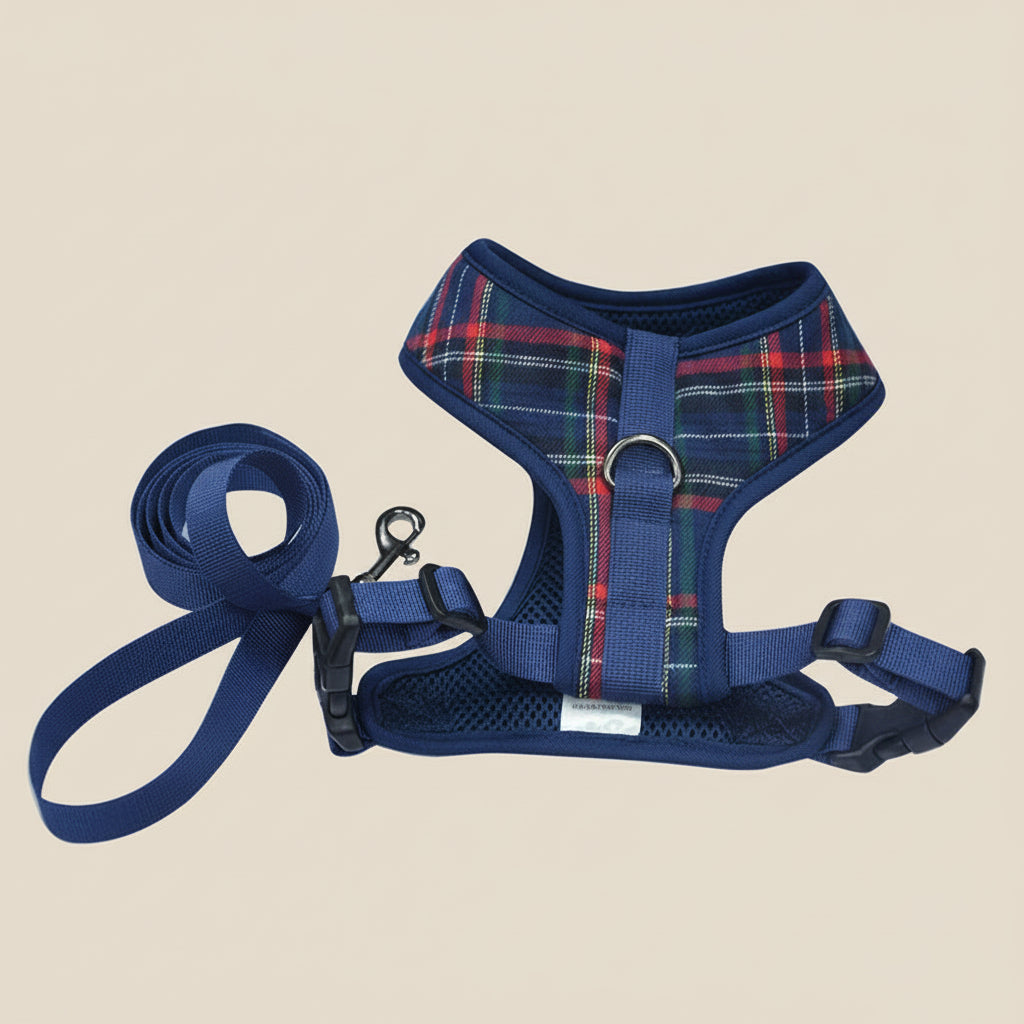 Breathable Everyday Dog Harness