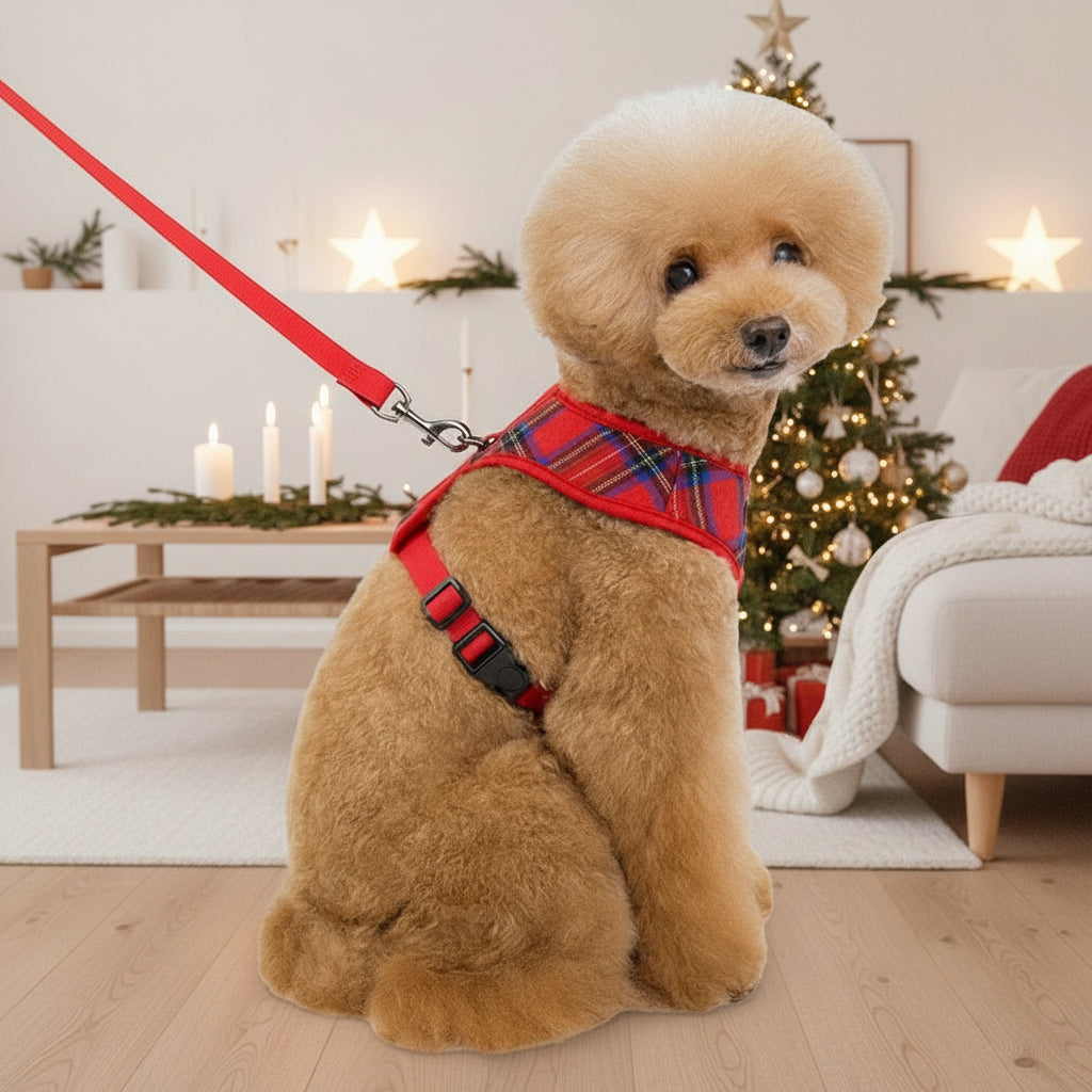 Breathable Everyday Dog Harness