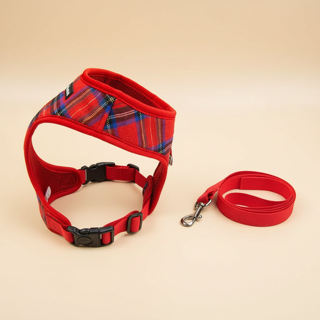 Breathable Everyday Dog Harness