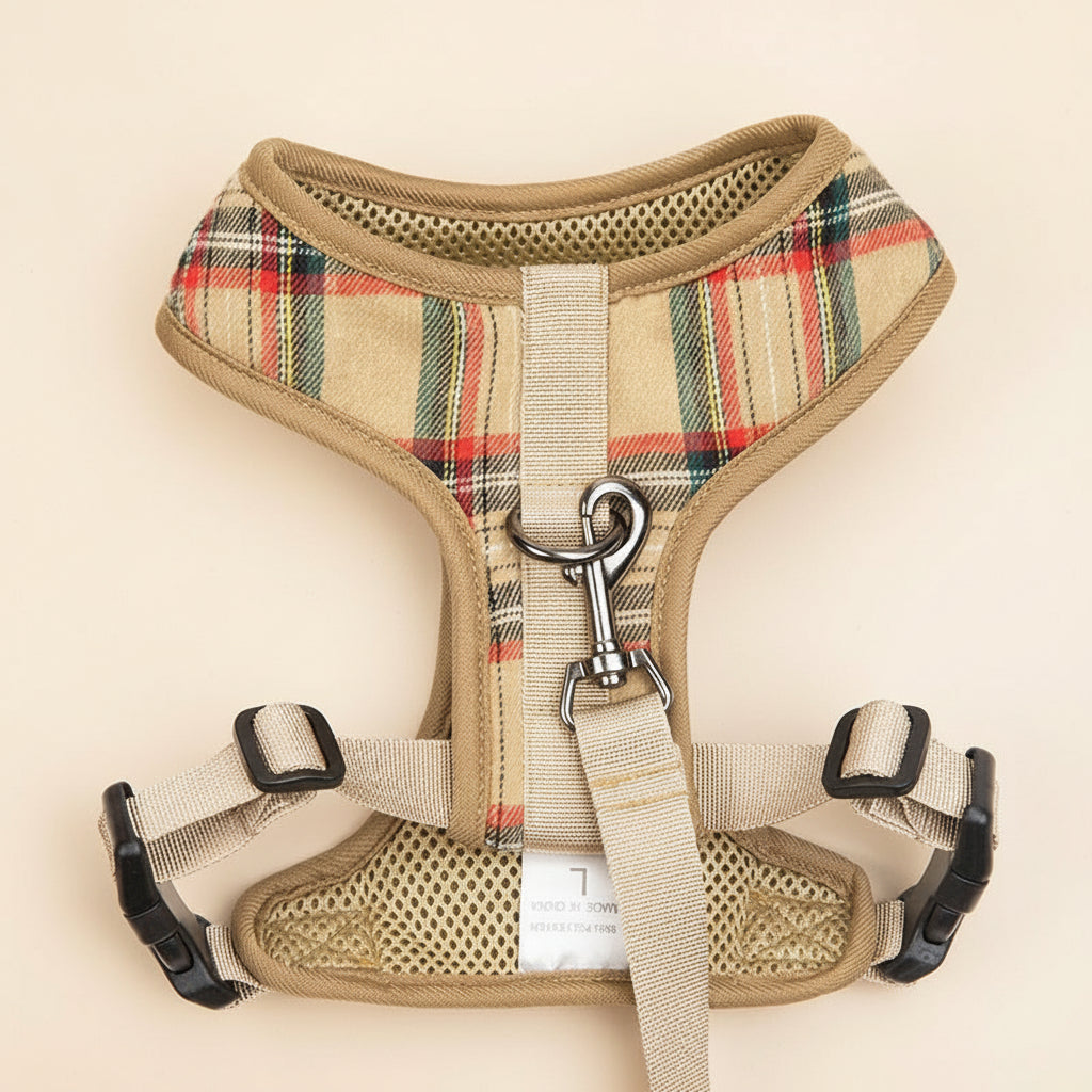 Breathable Everyday Dog Harness