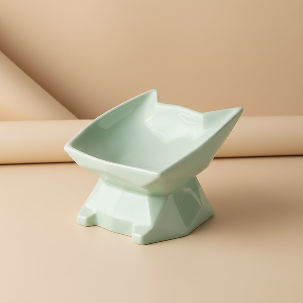 Elevated Ceramic Cat Bowl – Angled Anti-Spill Design