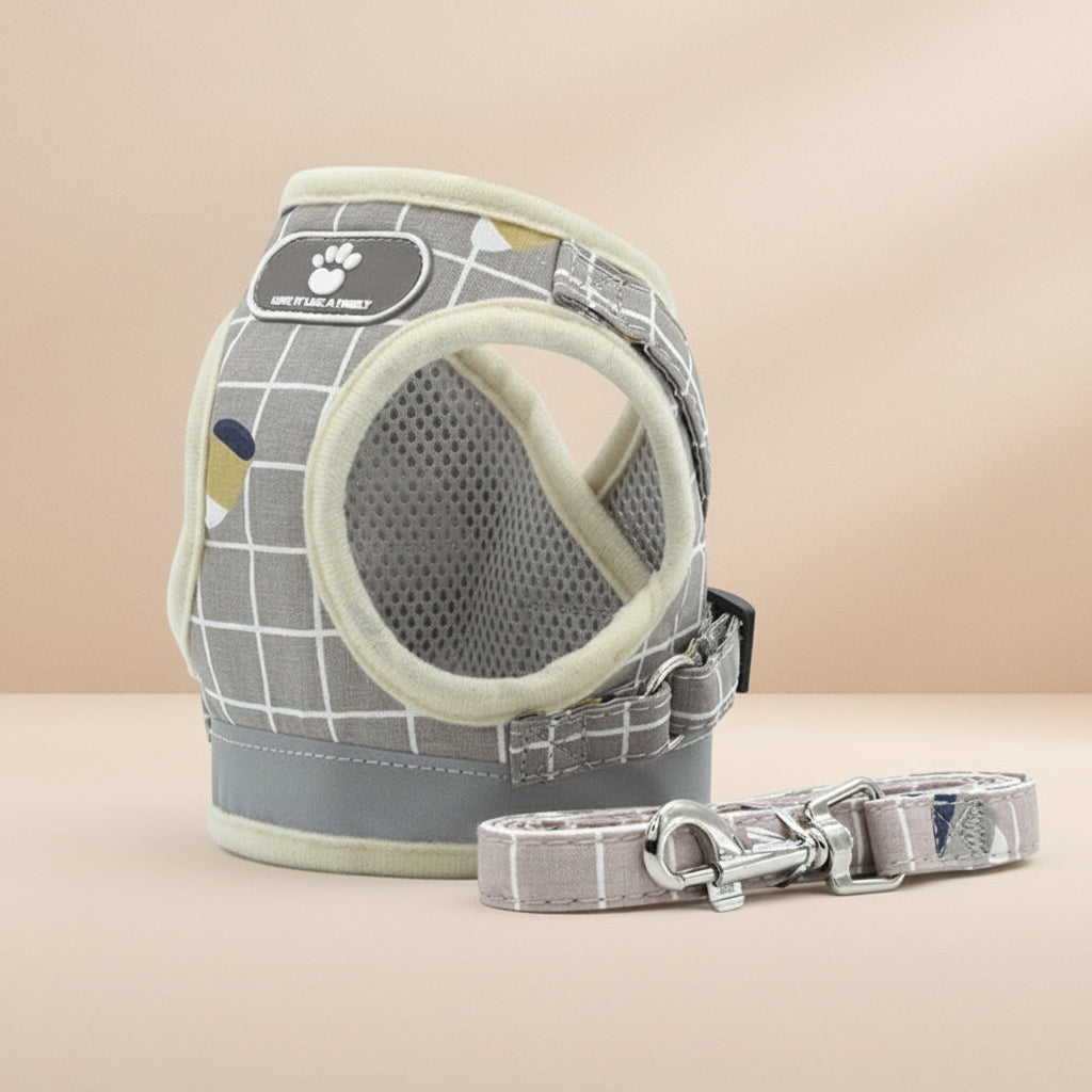 Breathable Mesh Harness & Leash Set — Reflective Comfort Fit