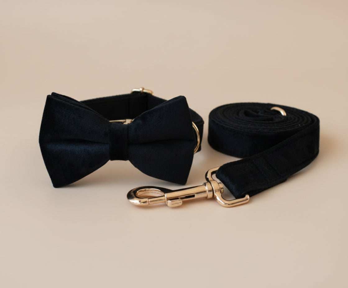 Velvet Dog Collar & Leash Set — Rose Gold Hardware