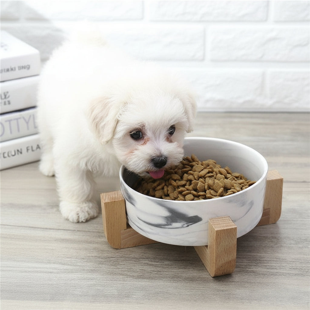 Marbled Ceramic Pet Bowl with Wooden Stand