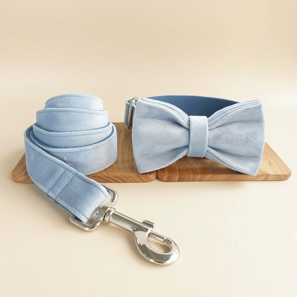 Velvet Buckle Collar in Sky Blue