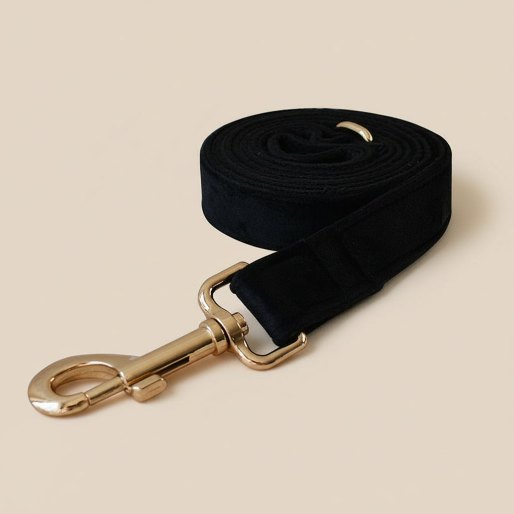 Velvet Dog Collar & Leash Set — Rose Gold Hardware