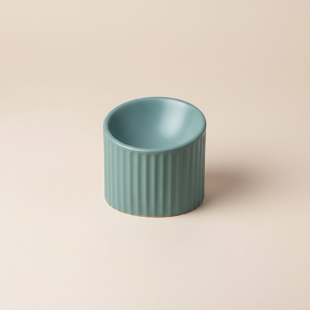 Roman Ceramic Pet Bowl