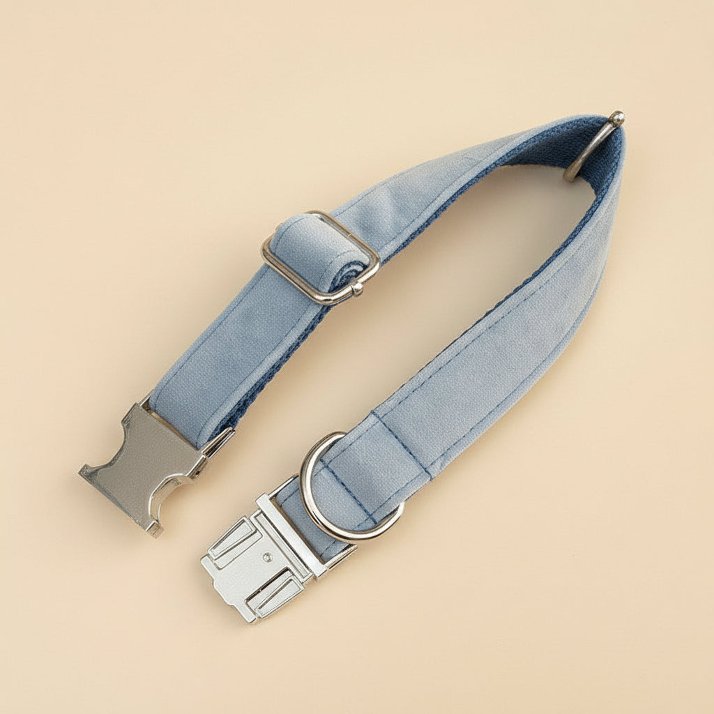 Velvet Buckle Collar in Sky Blue