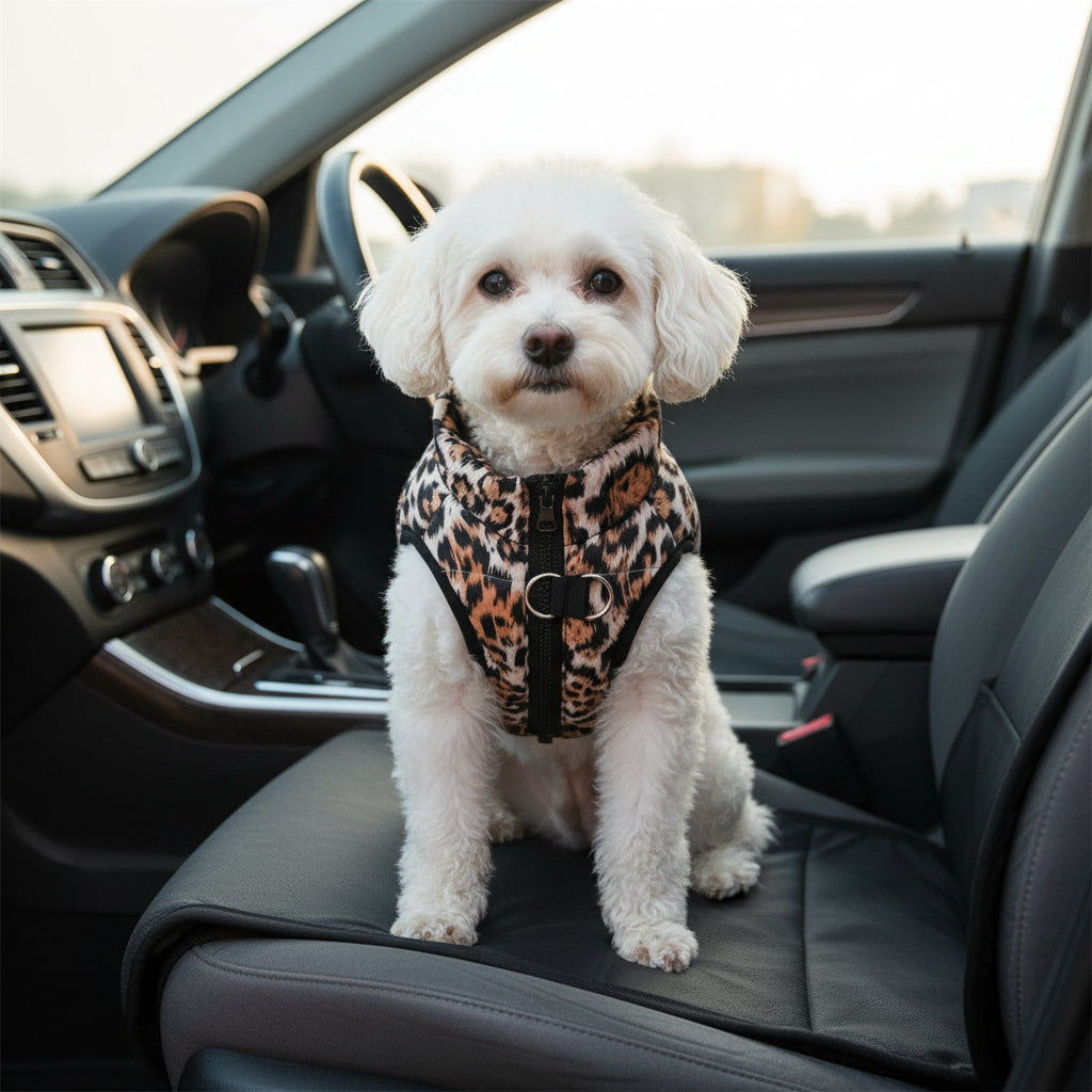 Padded Winter Vest – Personalized Prints