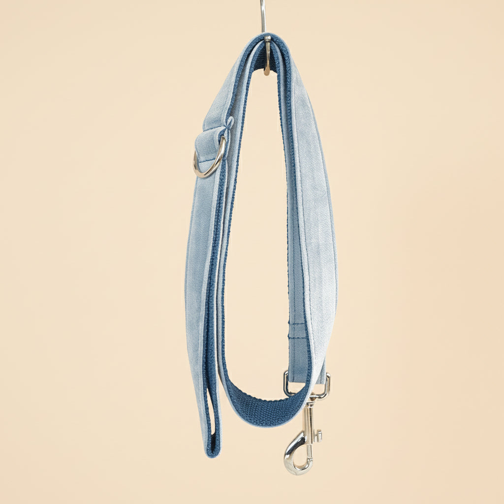 Velvet Buckle Collar in Sky Blue