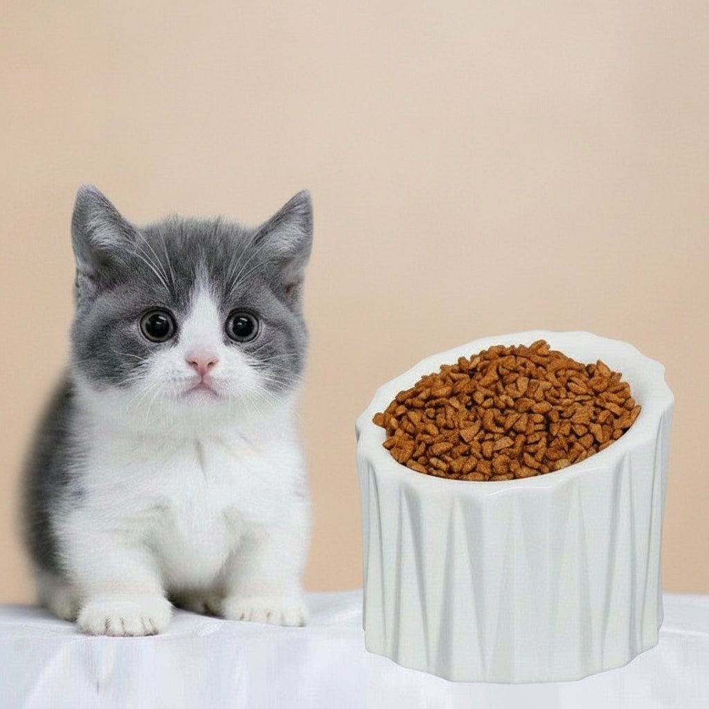 Ceramic bowl for pet neck guard