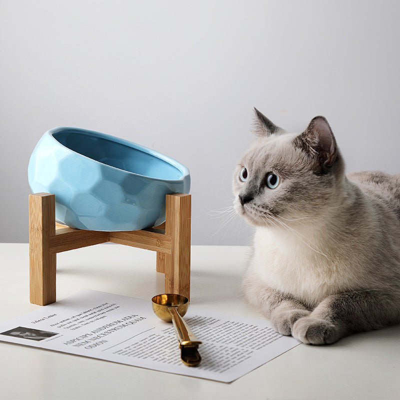Elevated Pet Bowl with Wooden Stand – Ergonomic Tilted Cat & Dog Feeder