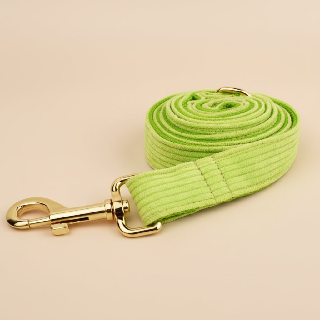 Velvet Bow Pet Collar Set — Mix & Match Collection