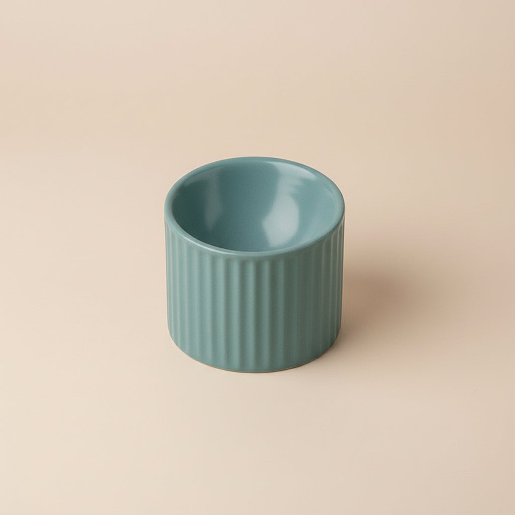 Roman Ceramic Pet Bowl