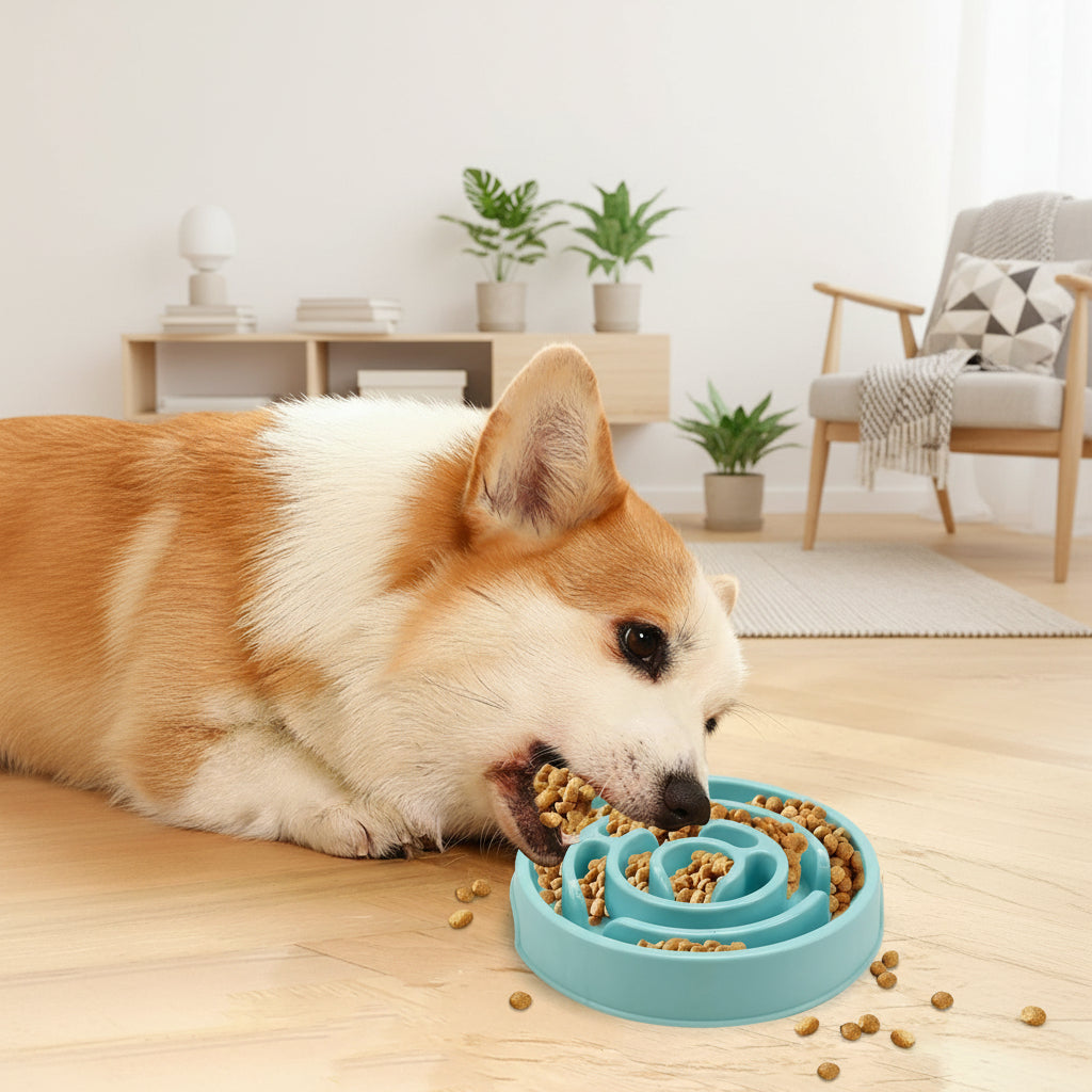 Macaron Slow Feeder Bowl