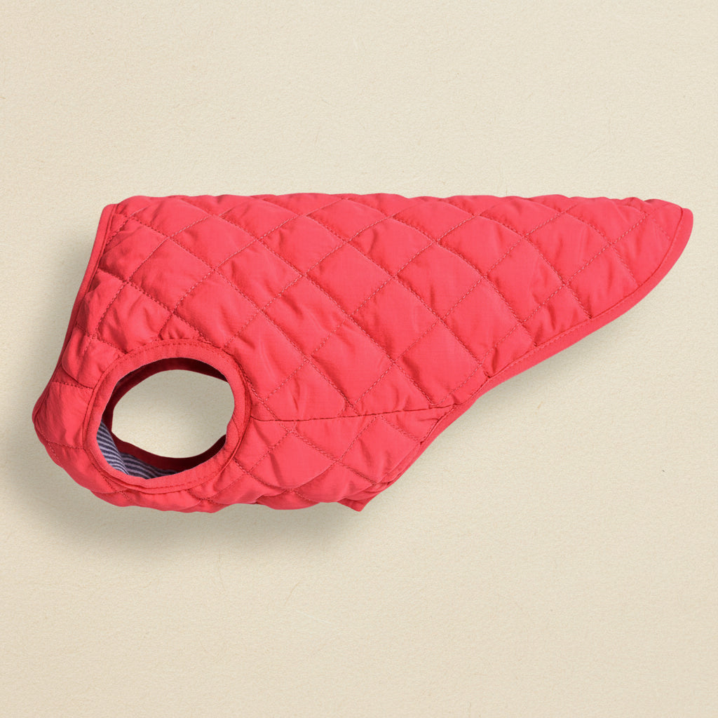 Warm Leisure Pet Dog Clothes Vest