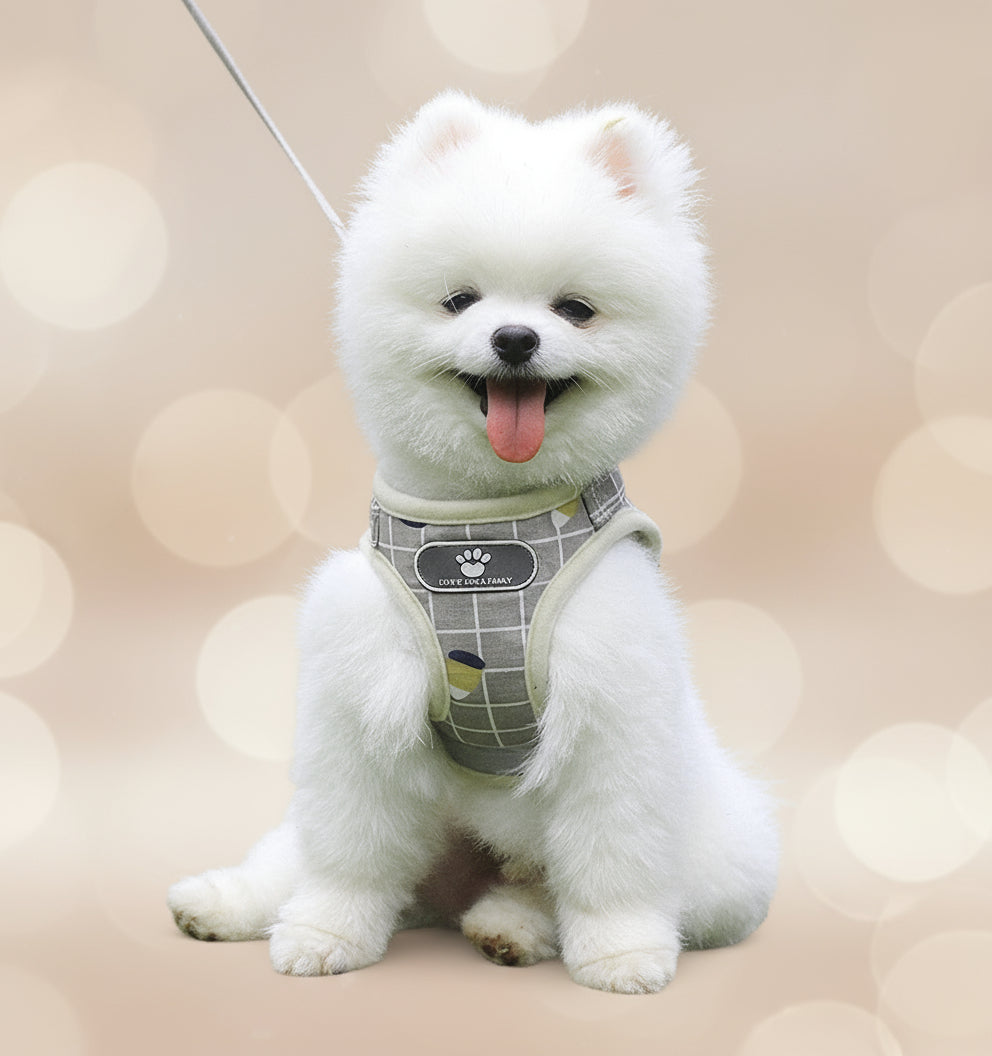 Breathable Mesh Harness & Leash Set — Reflective Comfort Fit