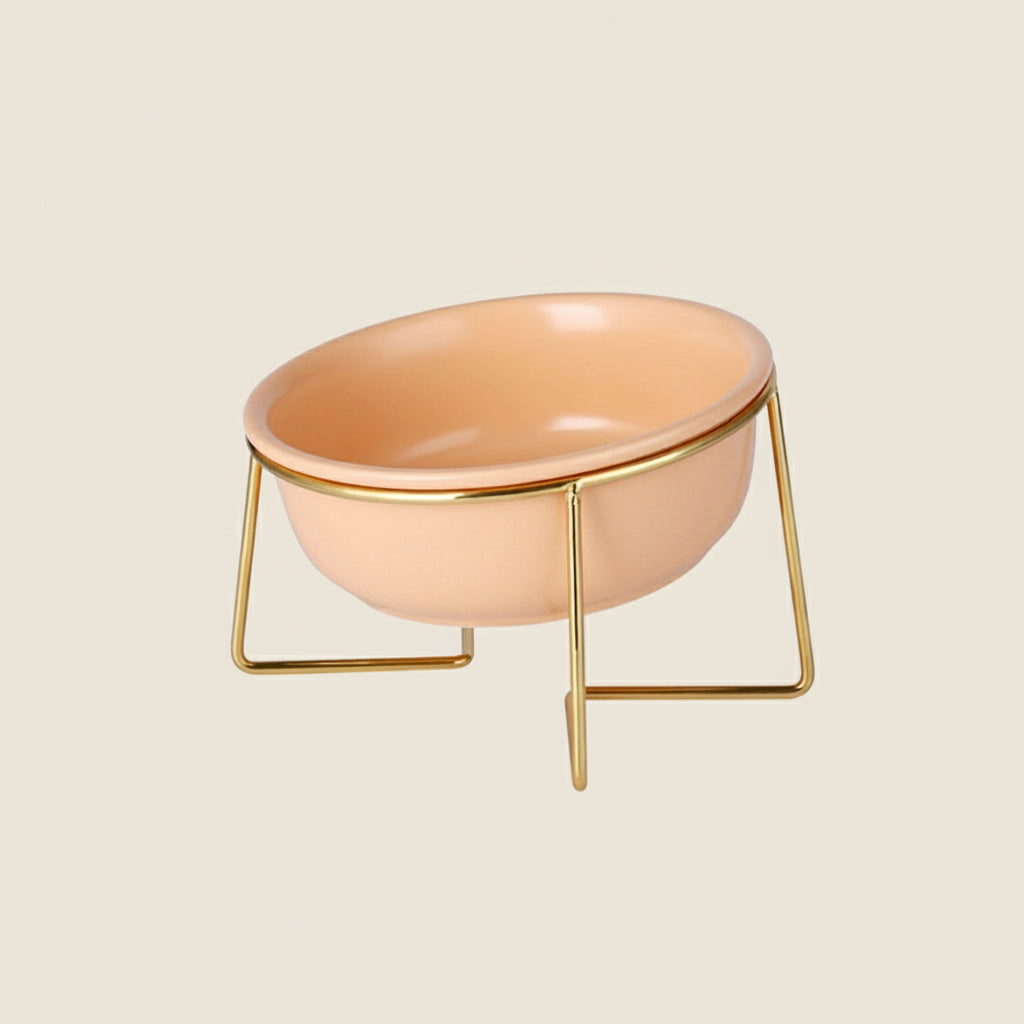 Elevated Cat Bowl – Tilted Ceramic Raised Feeder for Comfortable Eating