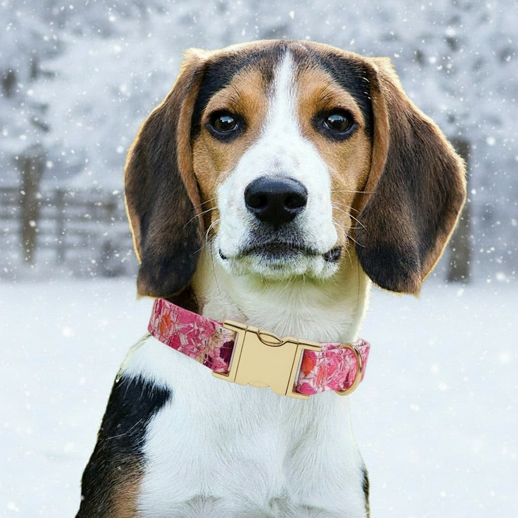 Pet Lettering Collar Metal Floral Collar Hand Holding Rope Medium Large Dog Leash