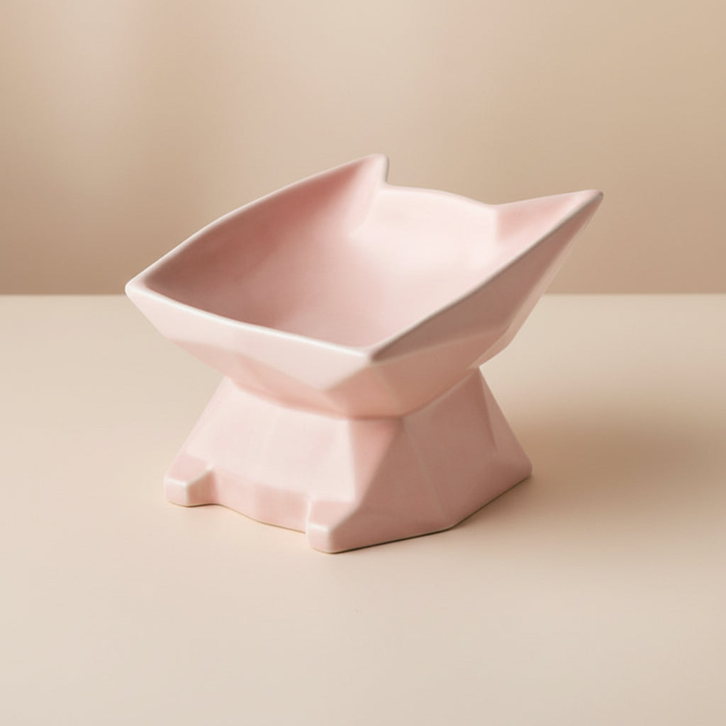 Elevated Ceramic Cat Bowl – Angled Anti-Spill Design