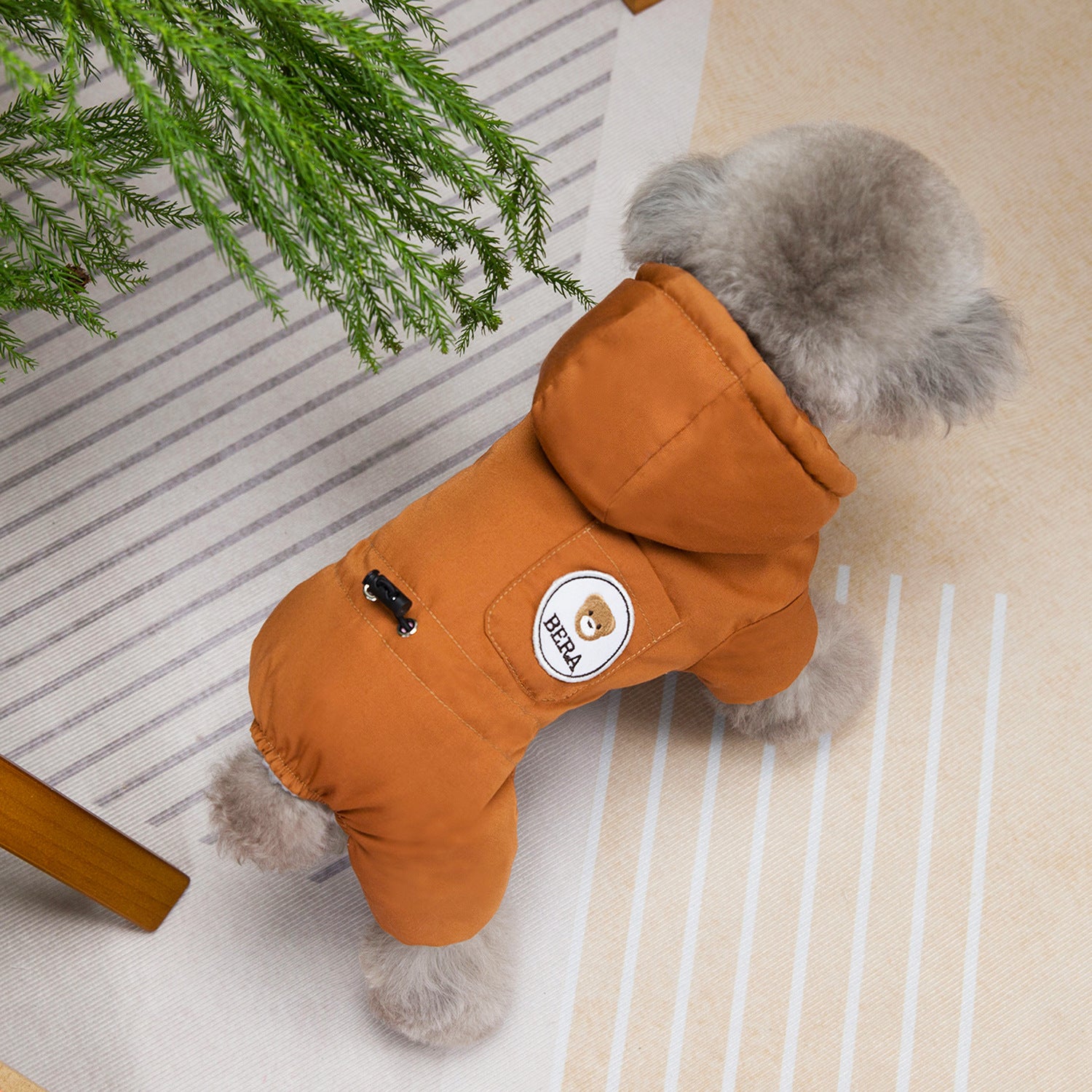 Teddy Hood Padded Winter Dog Suit