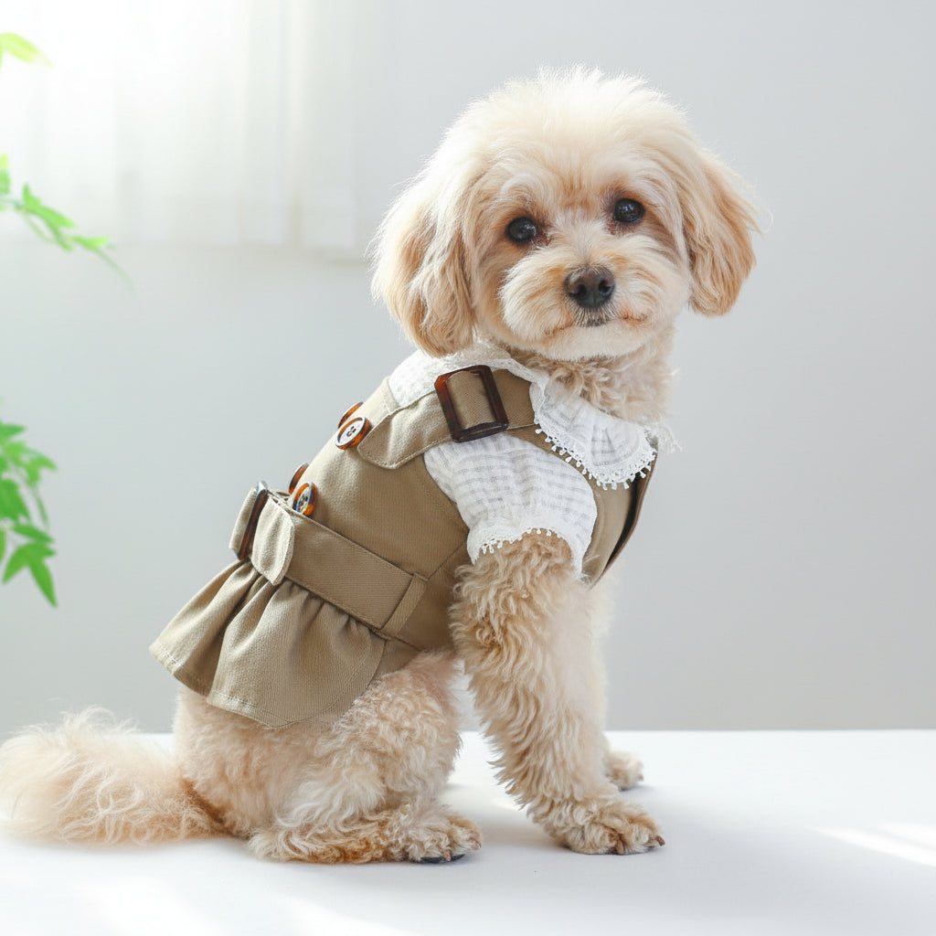 Khaki Trench Coat, Dress or Button Shirt with Optional Base Layer