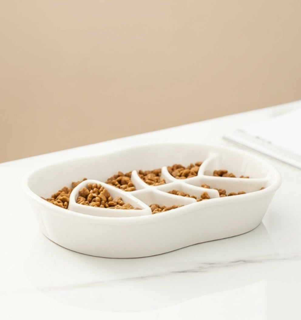 Ceramic Slow Feed Bowl for Cats & Small Dogs