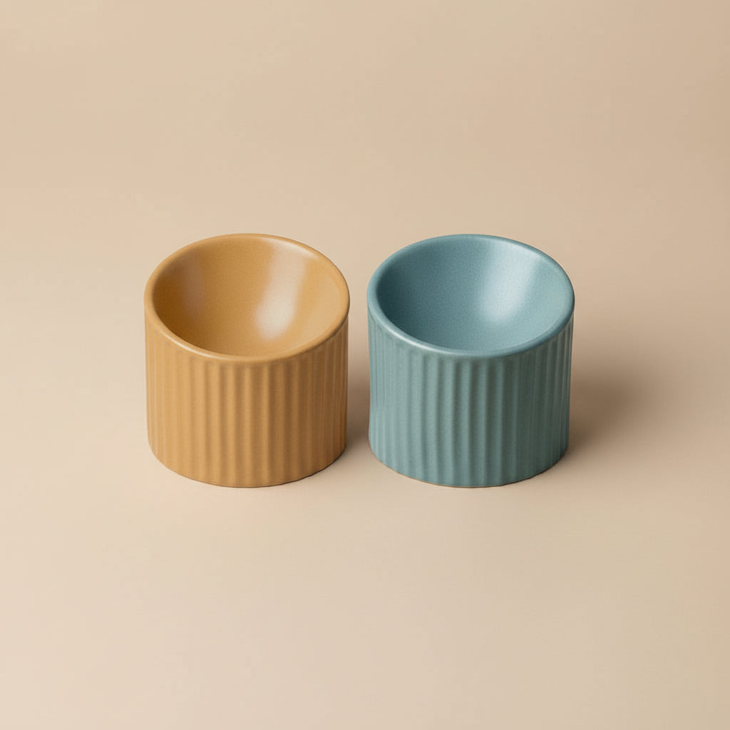 Roman Ceramic Pet Bowl