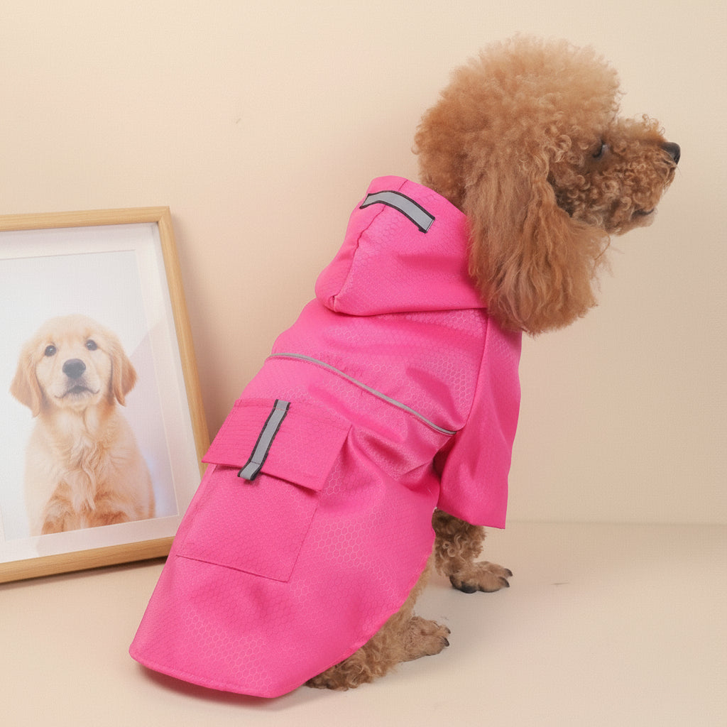 Small dog wearing a pink raincoat with reflective stripes on a white background