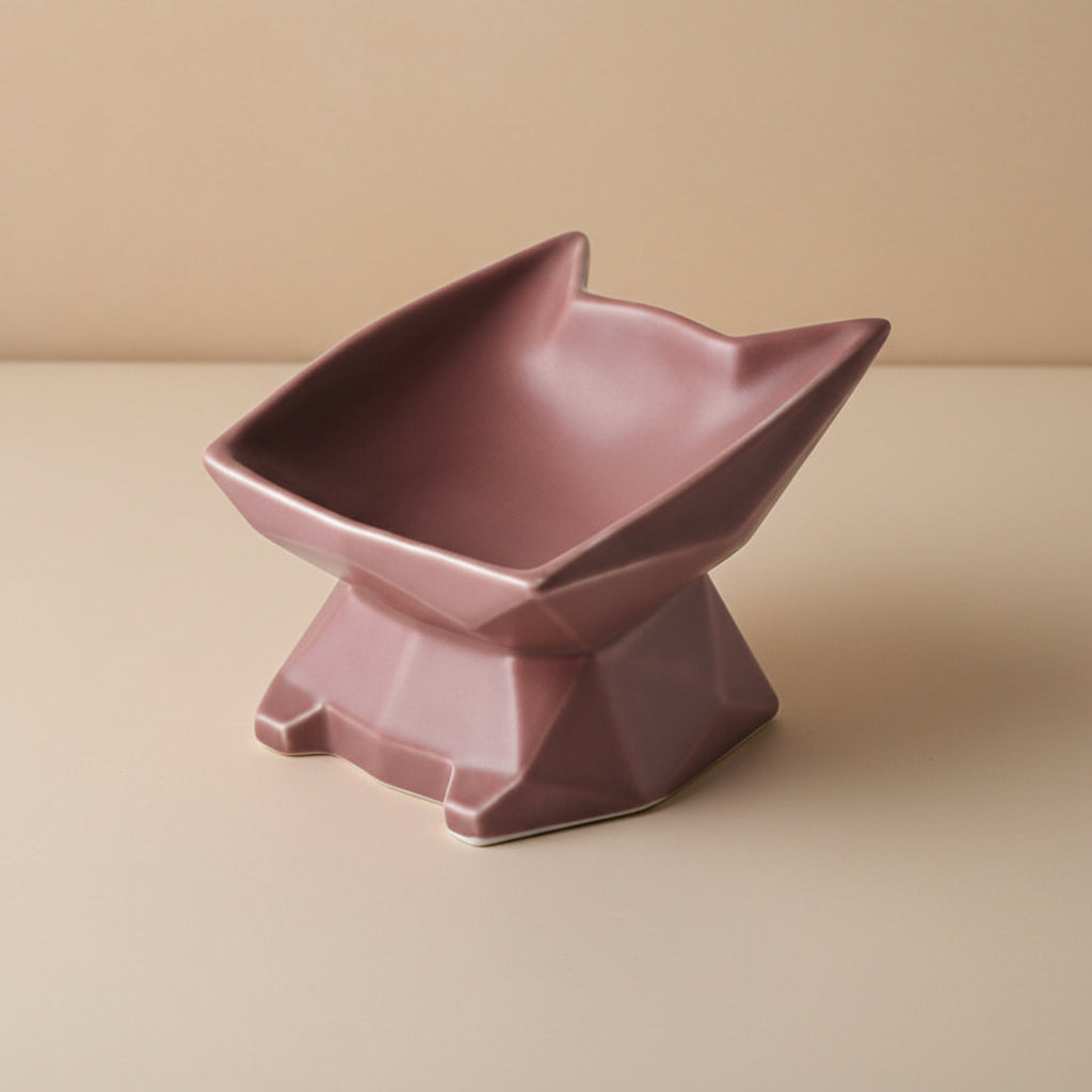 Elevated Ceramic Cat Bowl – Angled Anti-Spill Design