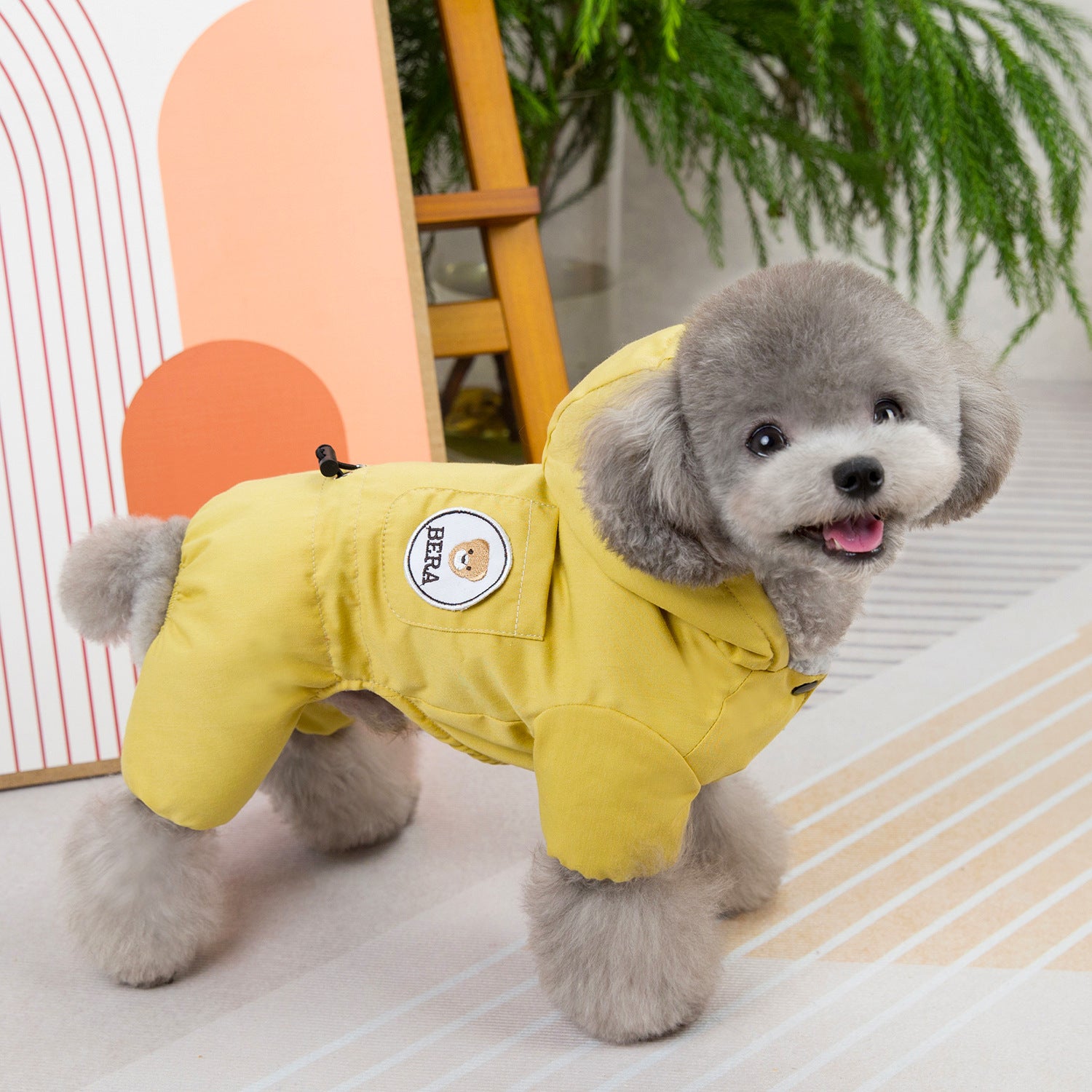Teddy Hood Padded Winter Dog Suit