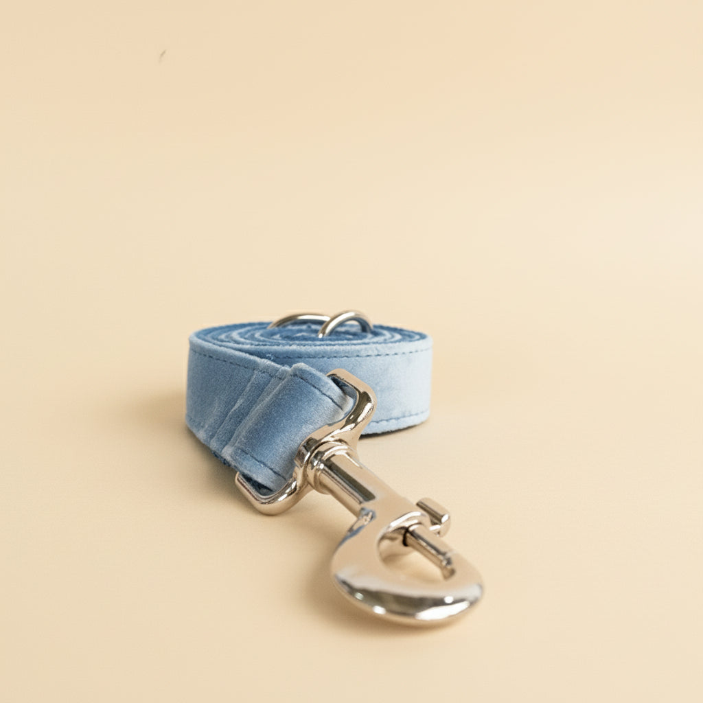 Velvet Buckle Collar in Sky Blue