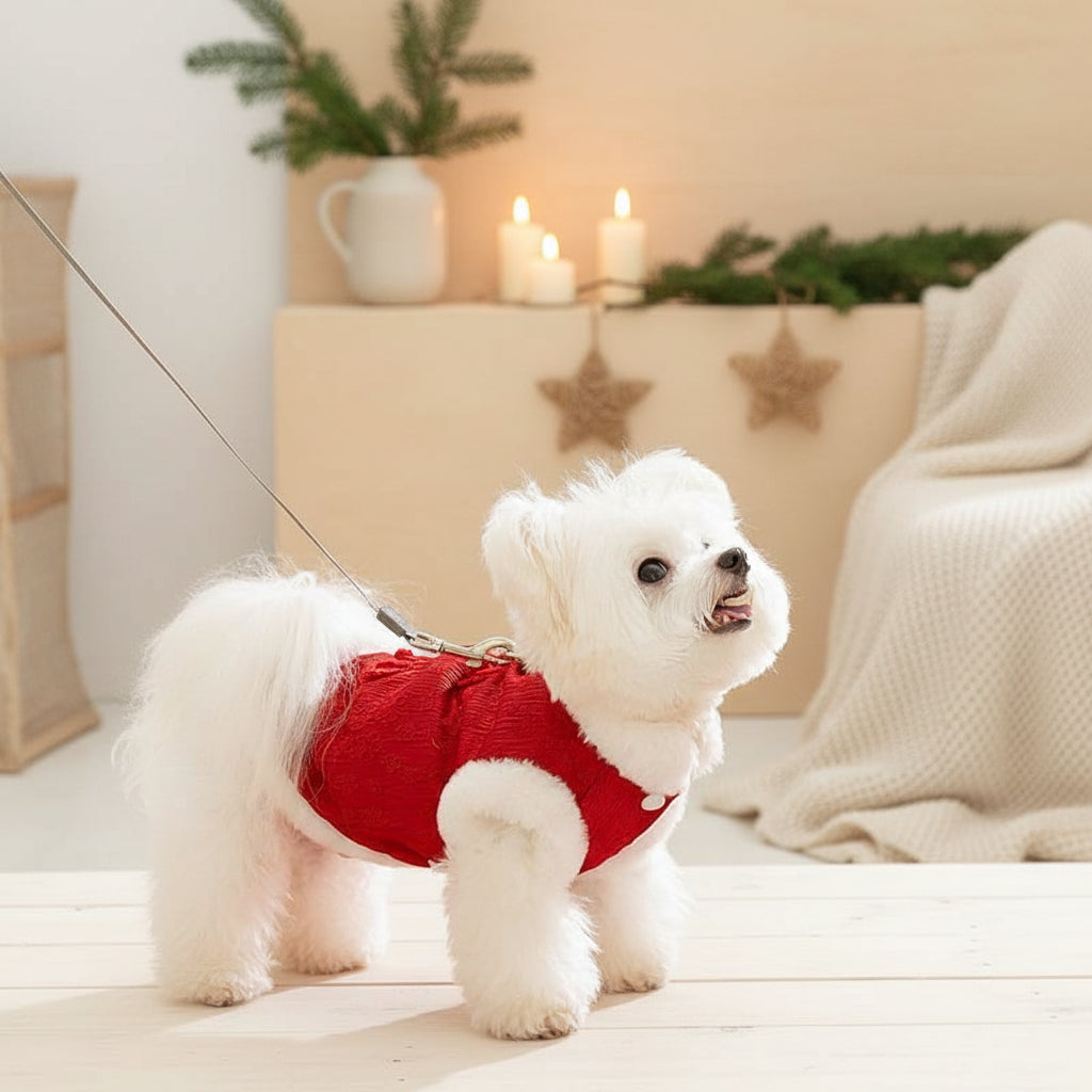 Chinese New Year Dog Coat with Plush Trim — Red Festive Winter Wear