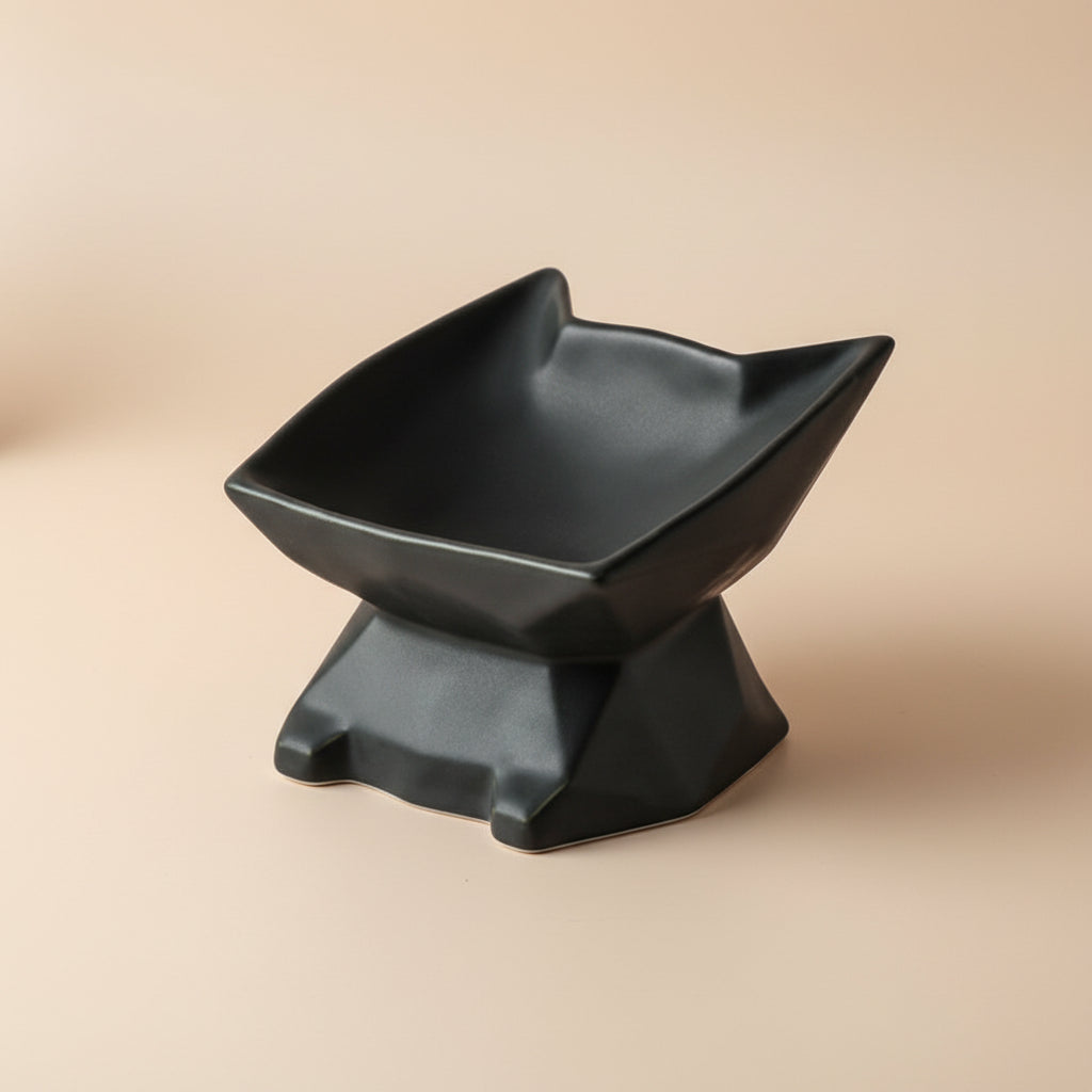 Elevated Ceramic Cat Bowl – Angled Anti-Spill Design