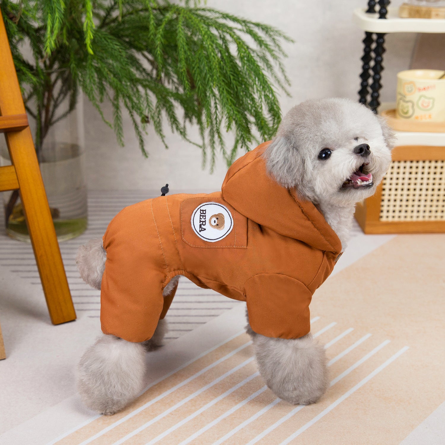 Teddy Hood Padded Winter Dog Suit