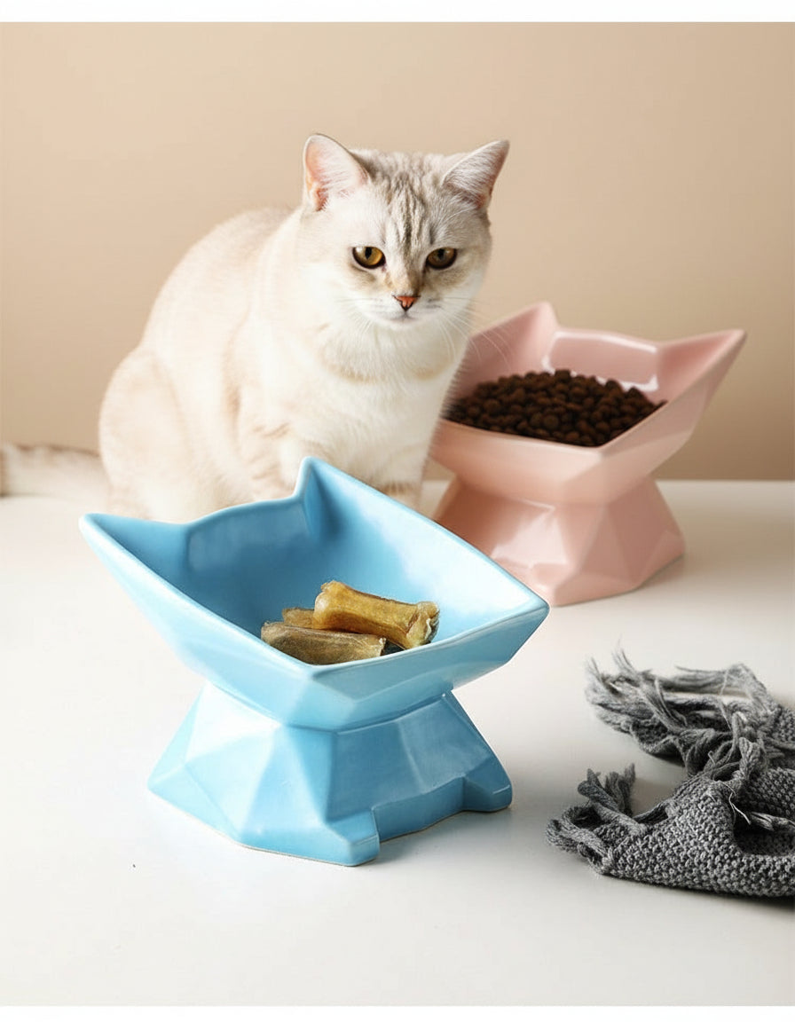 Elevated Ceramic Cat Bowl – Angled Anti-Spill Design
