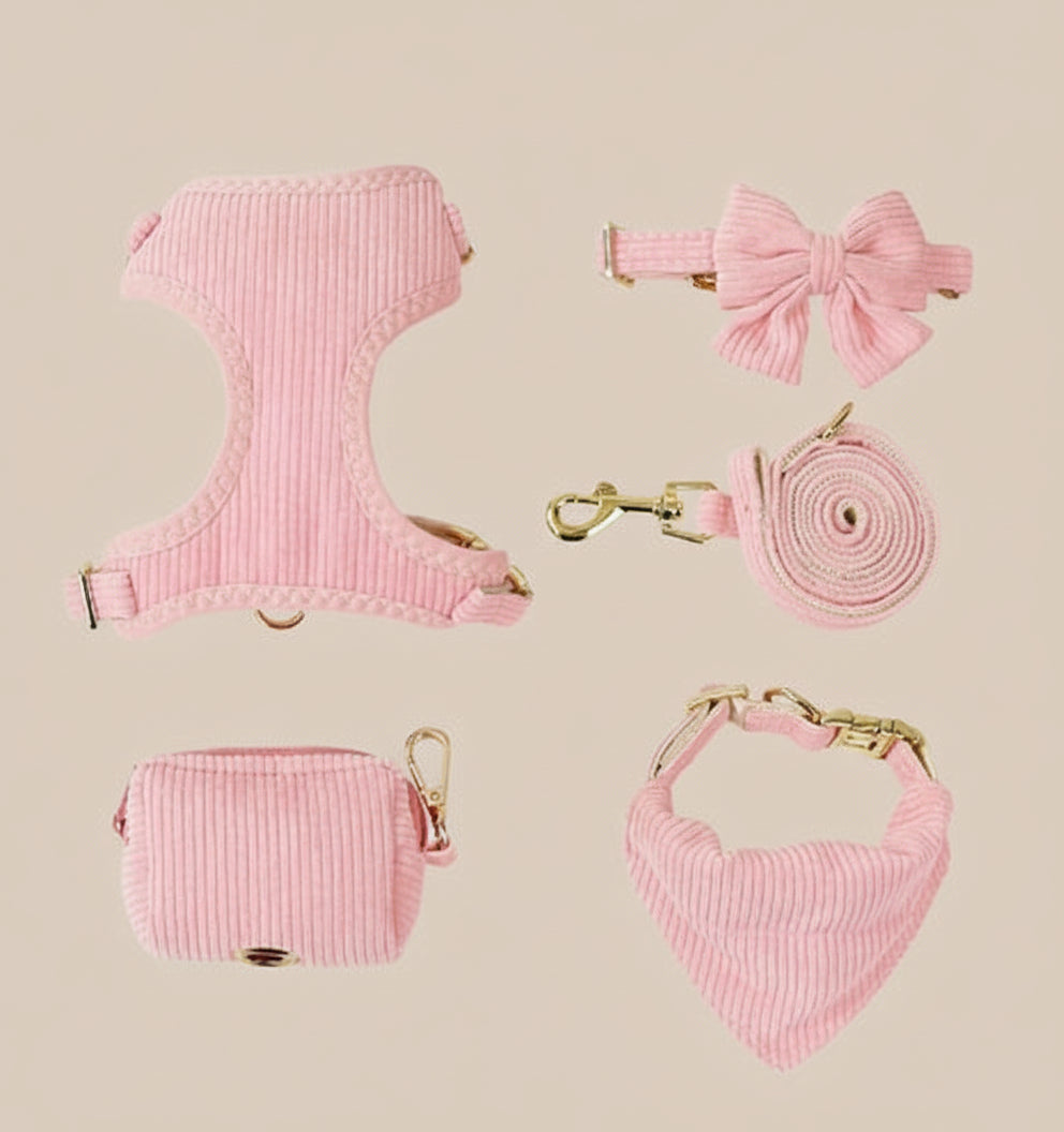Soft Corduroy Bow Harness & Leash Set