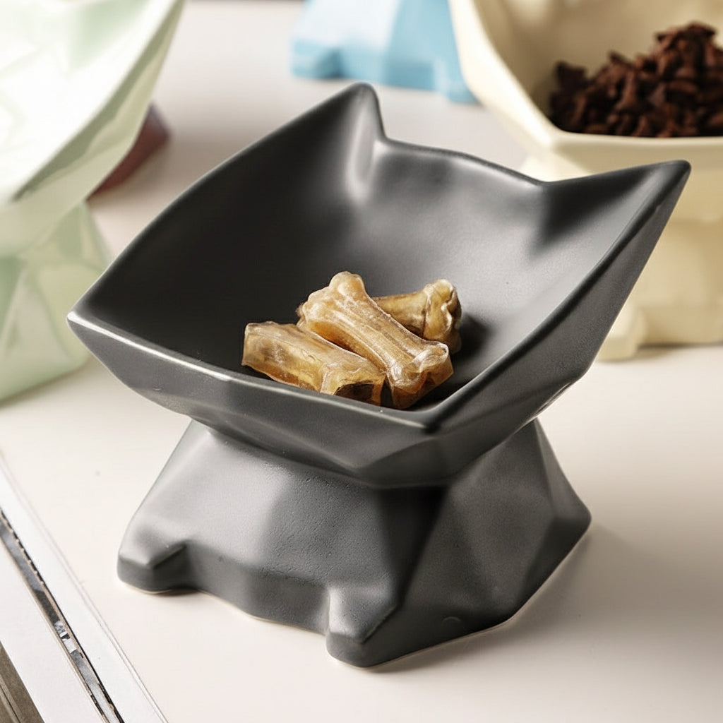 Elevated Ceramic Cat Bowl – Angled Anti-Spill Design