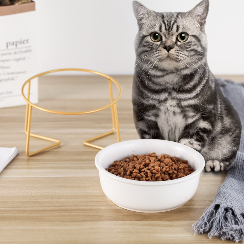 Elevated Cat Bowl – Tilted Ceramic Raised Feeder for Comfortable Eating