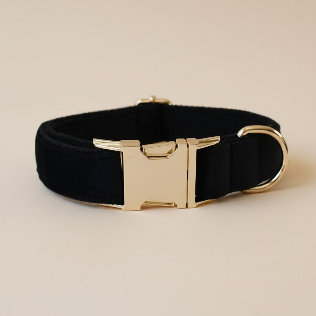 Velvet Dog Collar & Leash Set — Rose Gold Hardware