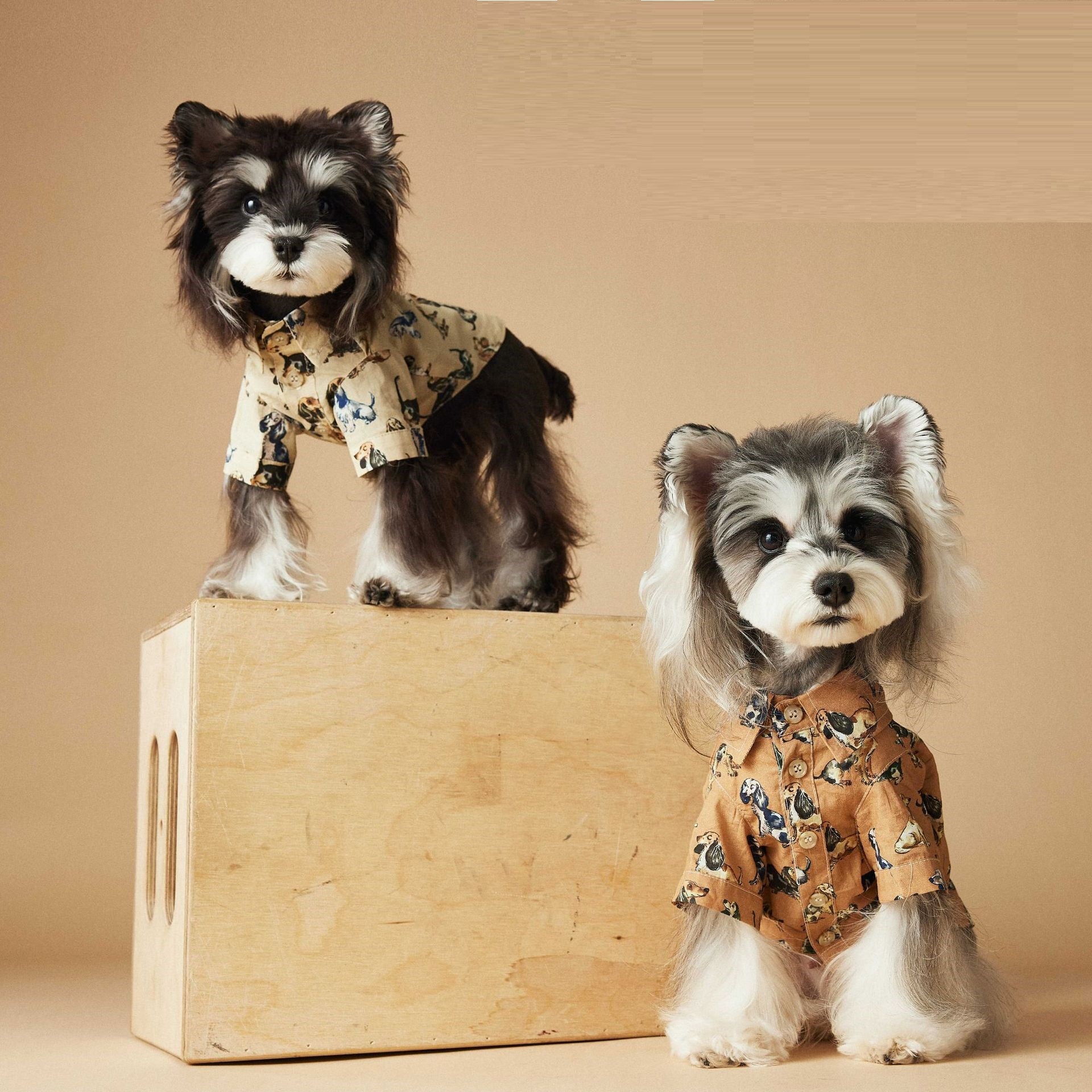 Printed Teddy Shirt – Cotton Pet Top