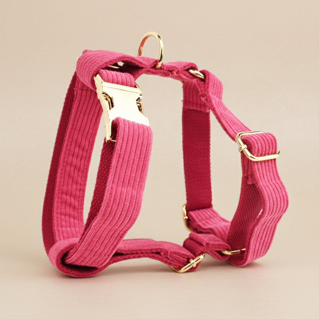 Velvet Bow Pet Collar Set — Mix & Match Collection